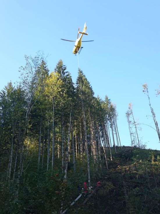 Weiterlesen: Forstunfall in Kreilhof: Mann unter Baum eingeklemmt
